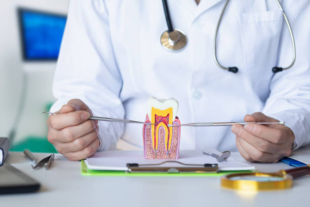 Best Emergency Root Canal Treatment in Circleville, OH